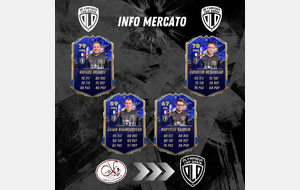 MERCATO SENIORS #6 (4 SEPTEMBRE)