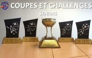 COUPE / CHALLENGE SENIORS (31 OCTOBRE)